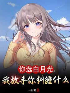 不停息的忍界之风