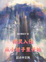 精灵入侵:从小村子里开始